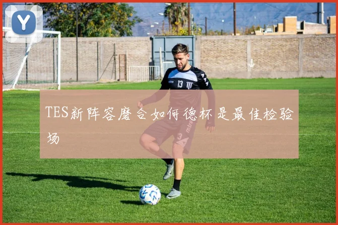 TES新阵容磨合如何德杯是最佳检验场