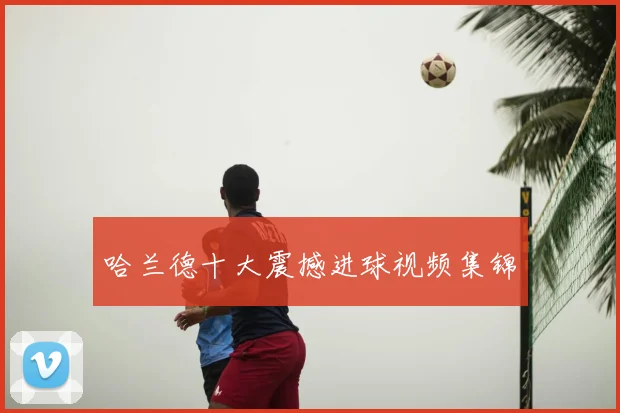 哈兰德十大震撼进球视频集锦
