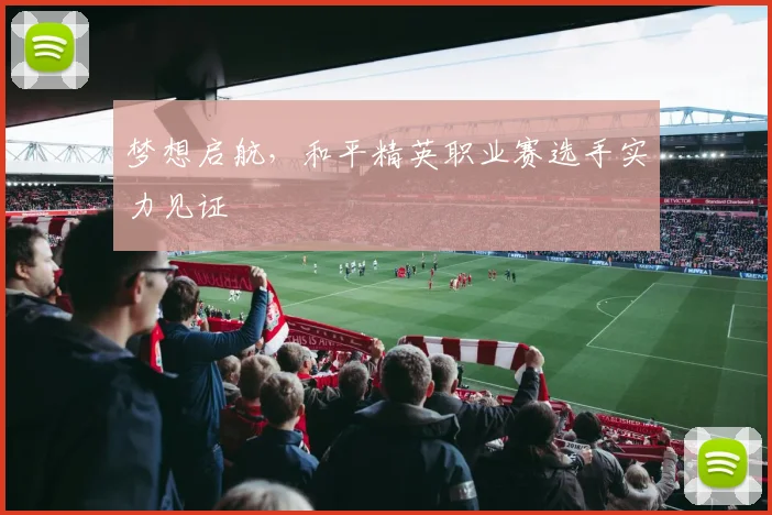 梦想启航，和平精英职业赛选手实力见证